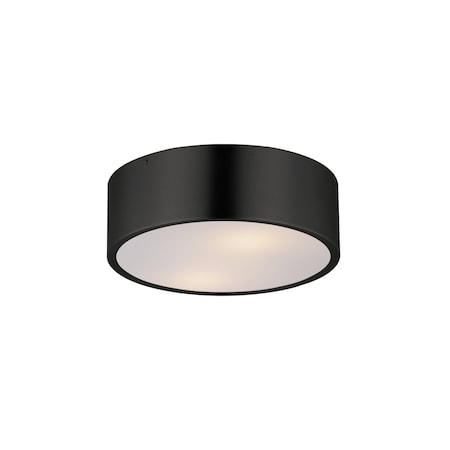 Maxim Lighting Tommy 12'' 2-Light Surface Mount, Black 10494WTBK